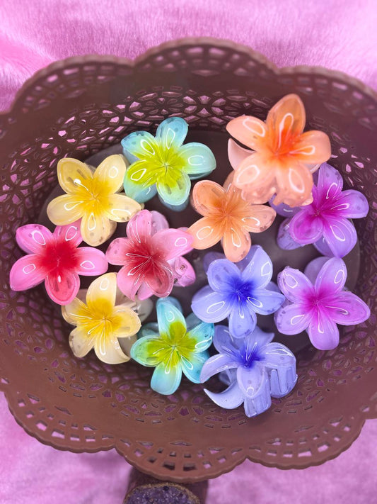 Medium Flower Premium Glass Finish Flower Claw Clip (Multicolour) - Pack of 2